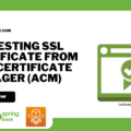 Requesting SSL Certificate From AWS Certificate Manager (ACM)